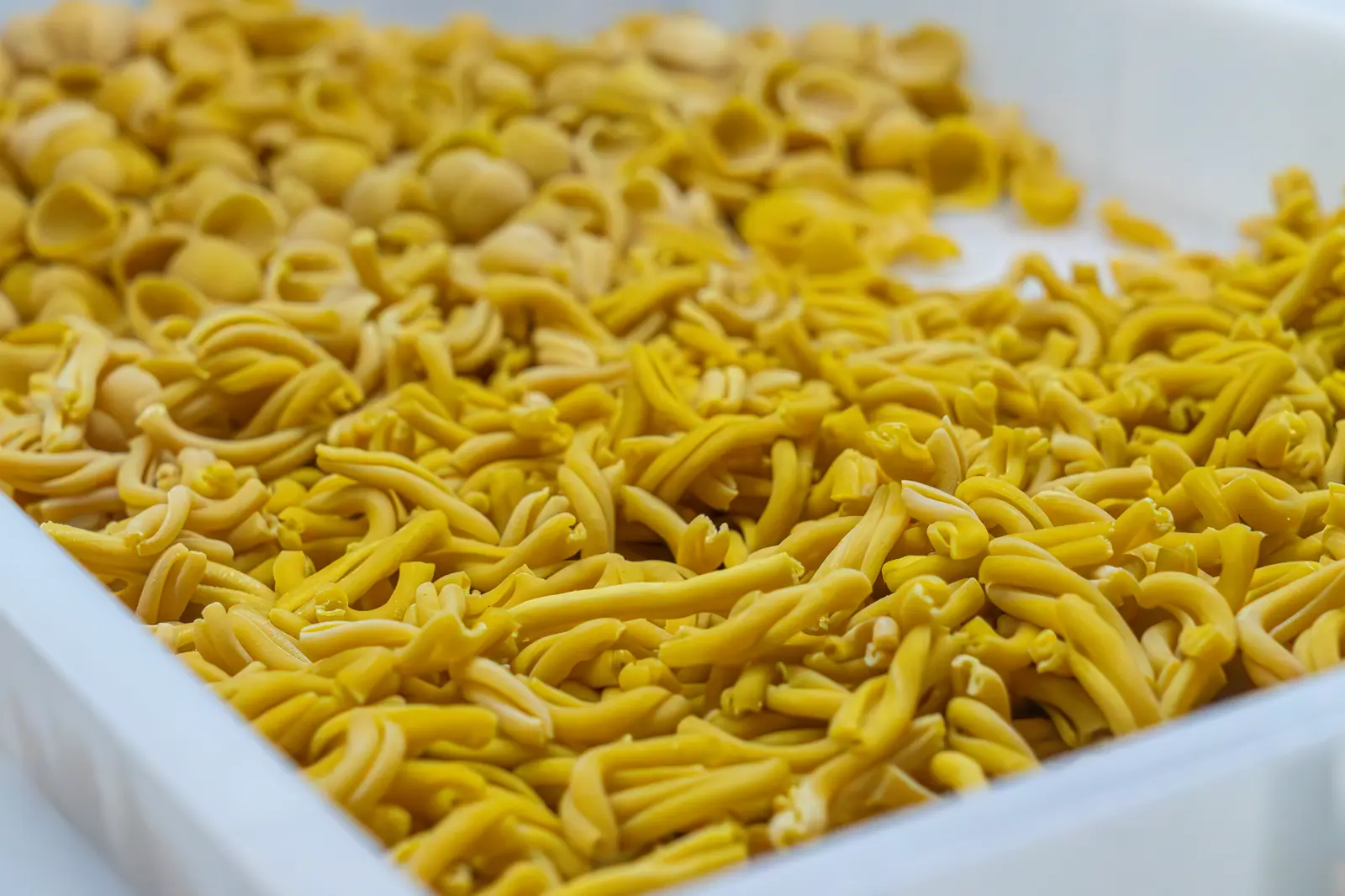 Frische handgemachte Casarecce aus der Pastamanufaktur der Trattoria Lauretta