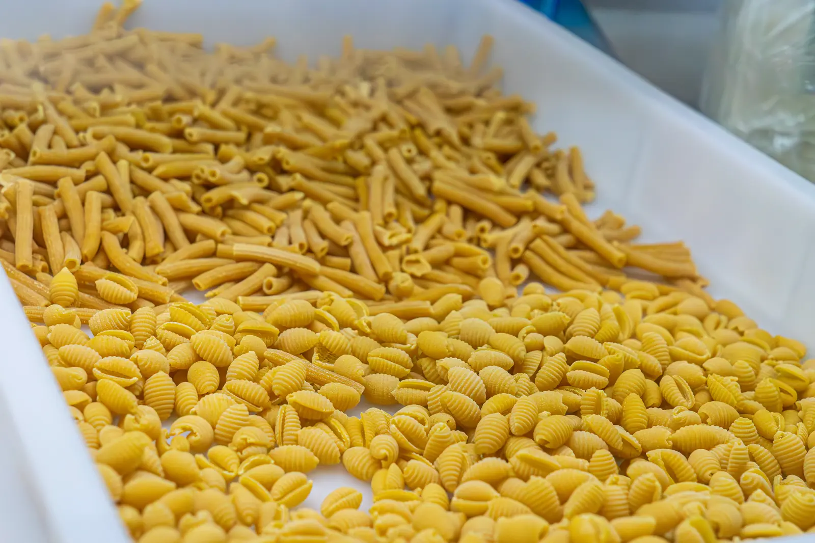 Hausgemachte Pasta aus der Pastamanufaktur Trattoria Lauretta Berlin — frische Penne und Conchiglie in Handarbeit gefertigt